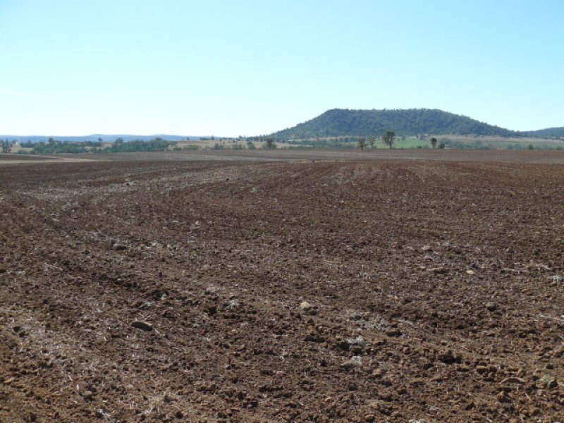 ” Forestvale “, Moree NSW 2400