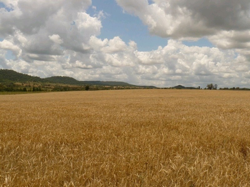 ” Forestvale “, Moree NSW 2400