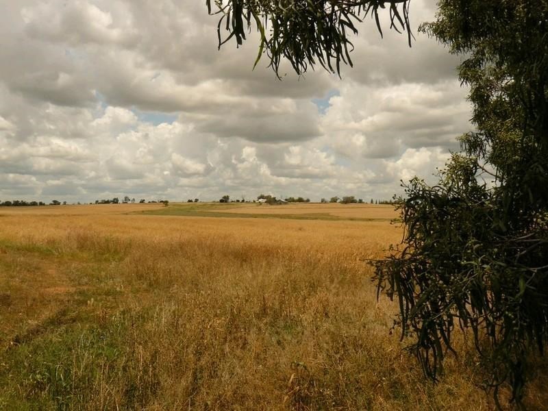 ” Forestvale “, Moree NSW 2400