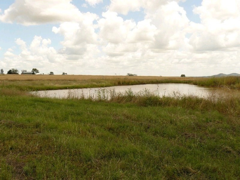 ” Forestvale “, Moree NSW 2400