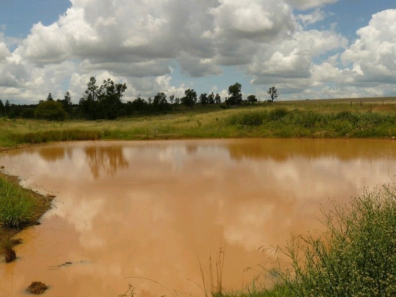 ” Forestvale “, Moree NSW 2400