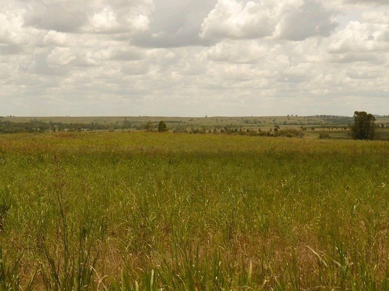 ” Forestvale “, Moree NSW 2400