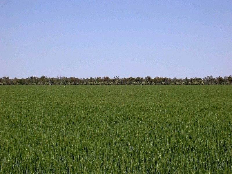 ” Angledool Station “, Lightning Ridge NSW 2834