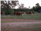 ” Angledool Station “, Lightning Ridge NSW 2834