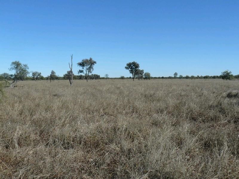” Angledool Station “, Lightning Ridge NSW 2834