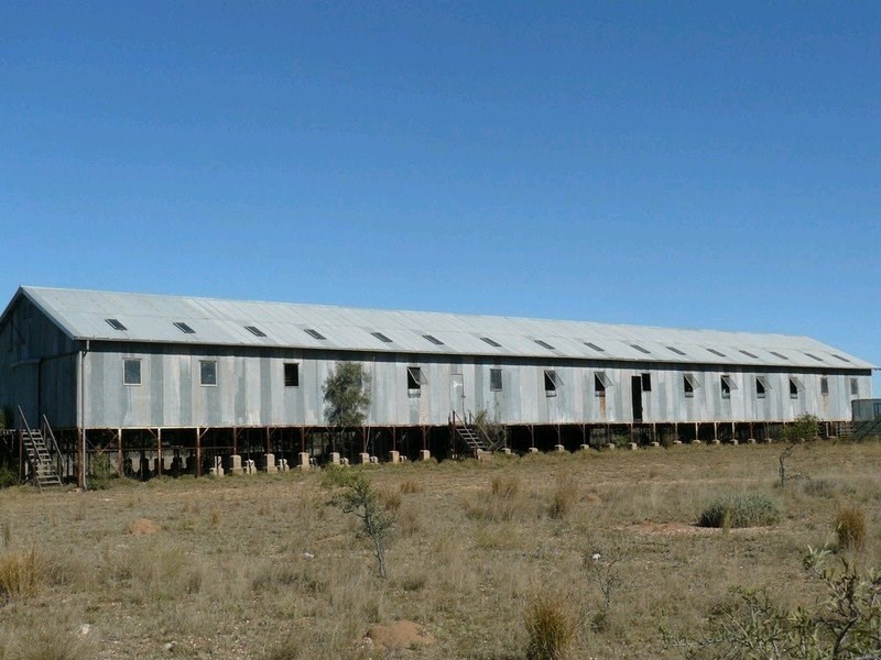 ” Angledool Station “, Lightning Ridge NSW 2834