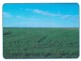 ” Tindale “, Hay NSW 2711