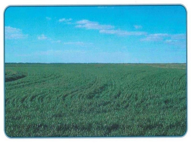 ” Tindale “, Hay NSW 2711