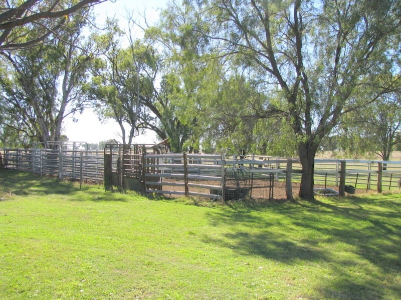 ” Limerick “, Moree NSW 2400