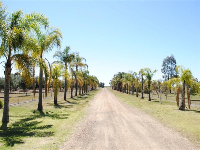 Moree NSW 2400