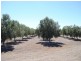 Moree NSW 2400