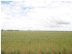 Moree NSW 2400