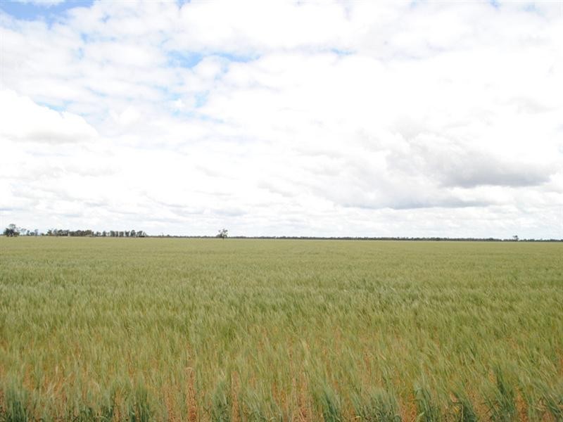 Moree NSW 2400