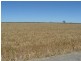 Moree NSW 2400