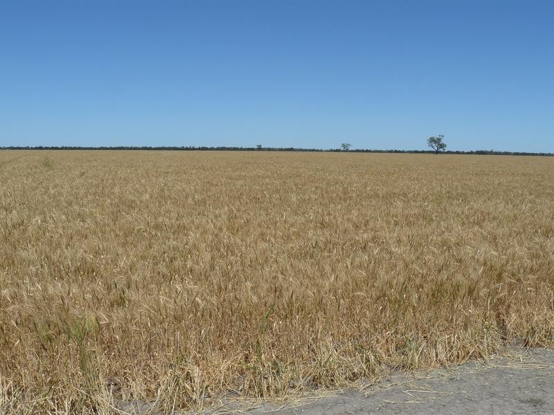 Moree NSW 2400