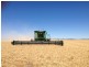 ” Yarrowee “, Mungindi NSW 2406
