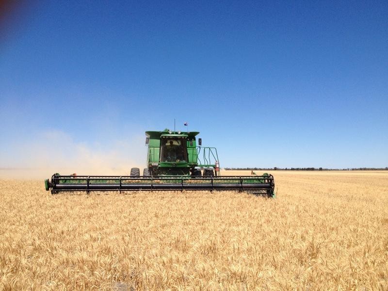 Yarrowee “, Mungindi NSW 2406 Ray White Rural Moree Withdrawn