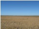 ” Yarrowee “, Mungindi NSW 2406