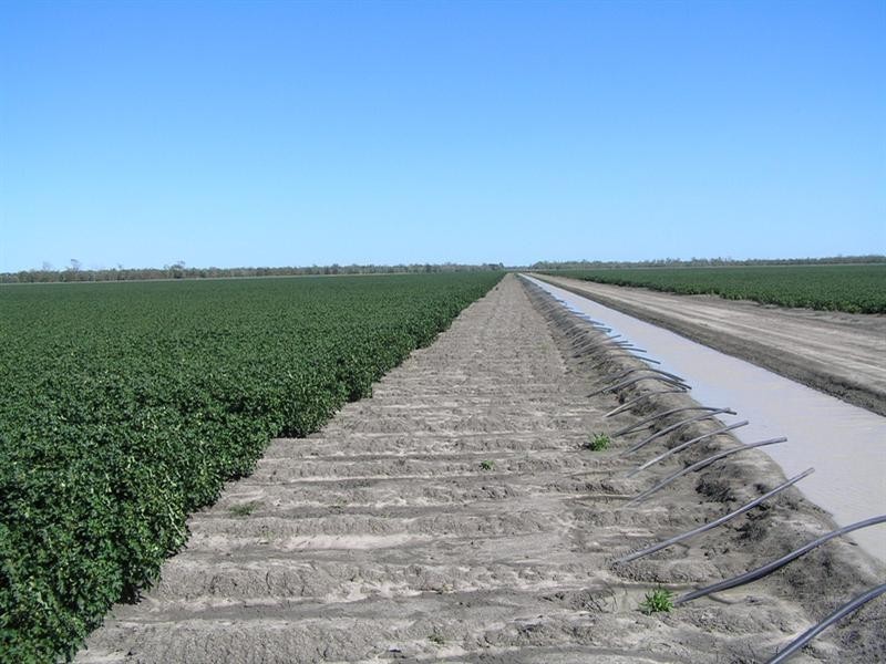 Yarrowee “, Mungindi NSW 2406 Ray White Rural Moree Withdrawn