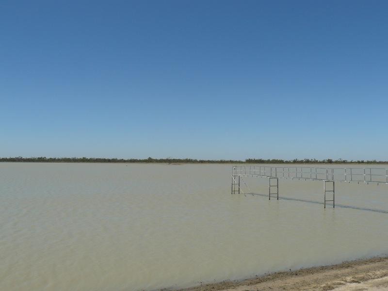 Yarrowee “, Mungindi NSW 2406 Ray White Rural Moree Withdrawn