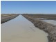 ” Yarrowee “, Mungindi NSW 2406