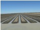 ” Yarrowee “, Mungindi NSW 2406