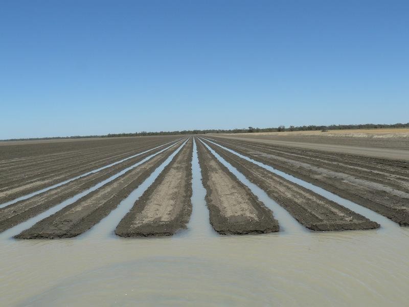 ” Yarrowee “, Mungindi NSW 2406
