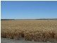 ” Yarrowee “, Mungindi NSW 2406