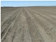 ” Yarrowee “, Mungindi NSW 2406