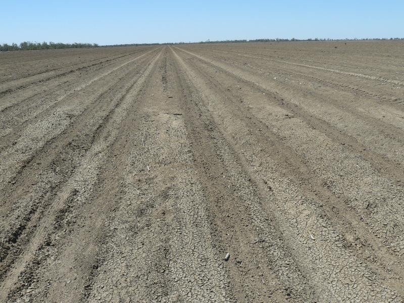” Yarrowee “, Mungindi NSW 2406