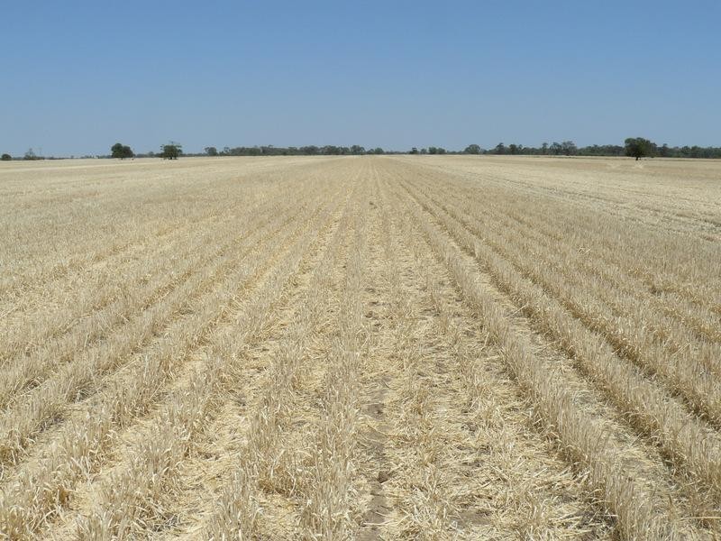 Garah NSW 2405