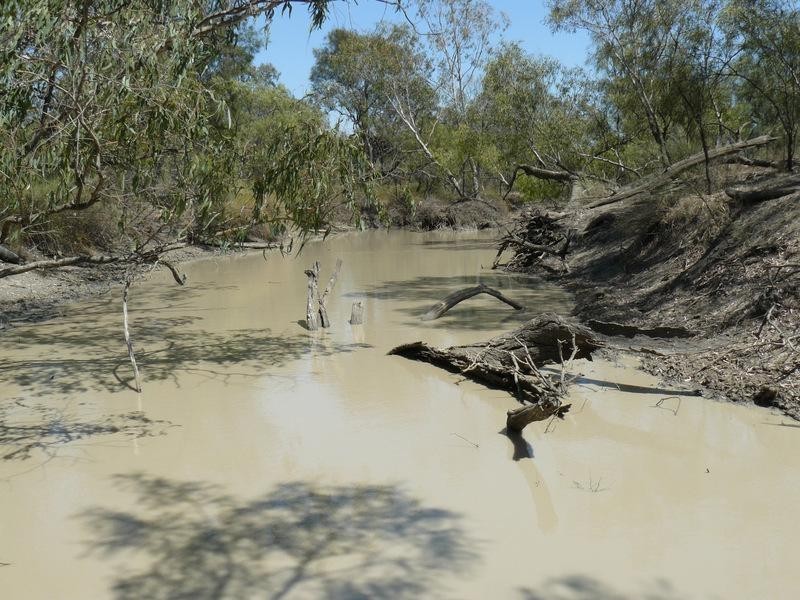 Garah NSW 2405