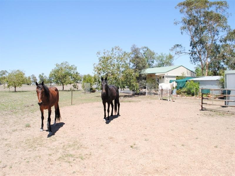 Moree NSW 2400
