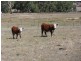 ” Torvale “, Inverell NSW 2360