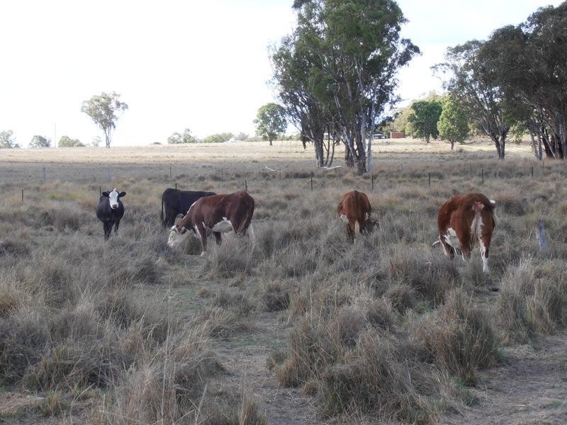 ” Torvale “, Inverell NSW 2360