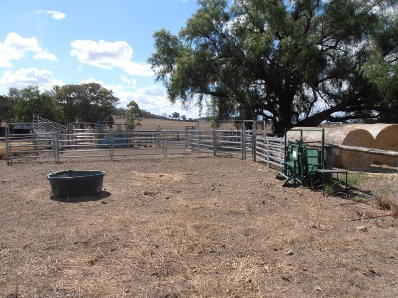 ” Torvale “, Inverell NSW 2360