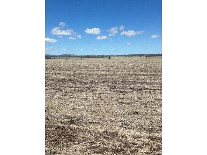 Wallangra NSW 2360