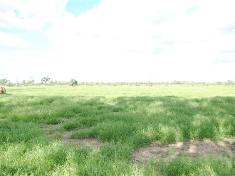 Moree NSW 2400