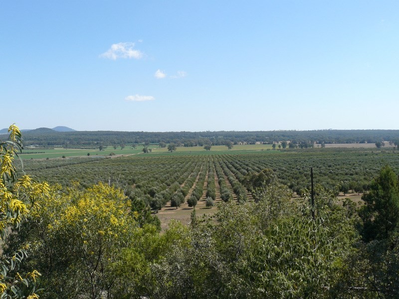 ” Eden Valley “, Moree NSW 2400
