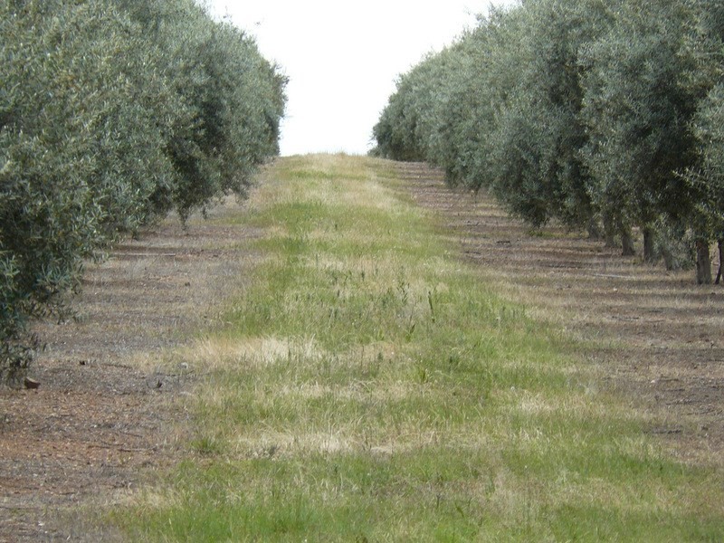 ” Eden Valley “, Moree NSW 2400