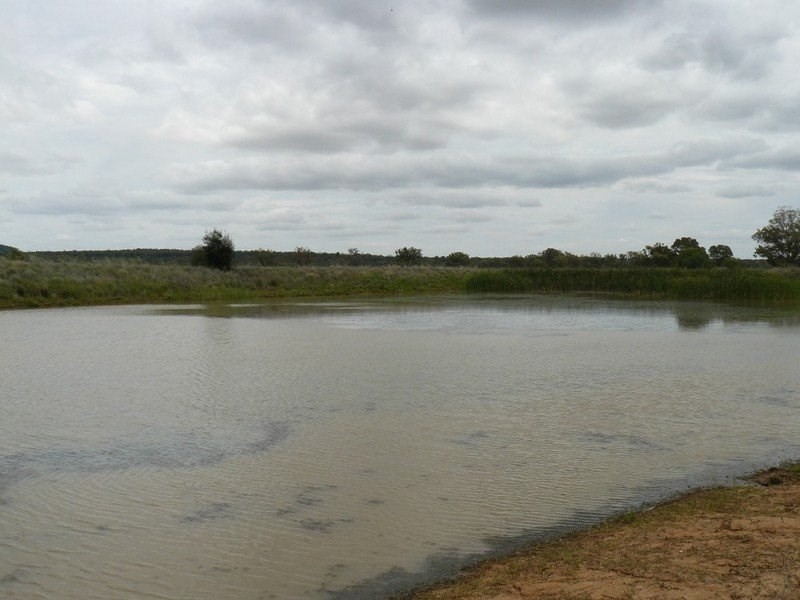 ” Eden Valley “, Moree NSW 2400