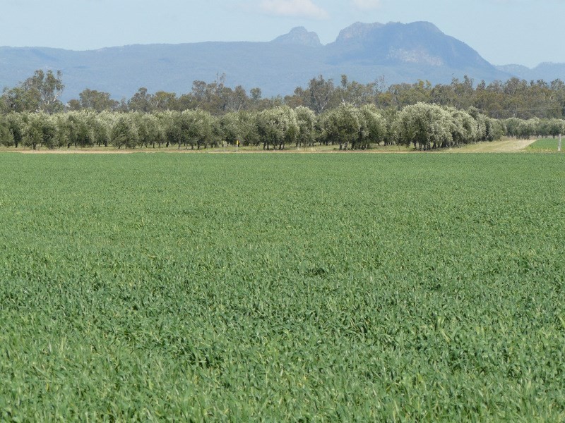 ” Eden Valley “, Moree NSW 2400
