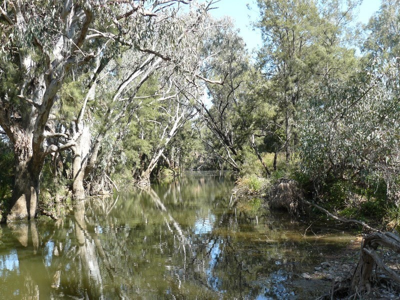 ” Eden Valley “, Moree NSW 2400