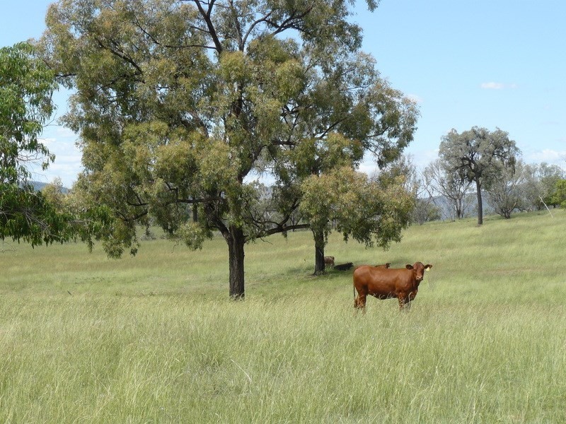 ” Llangollan “, Moree NSW 2400