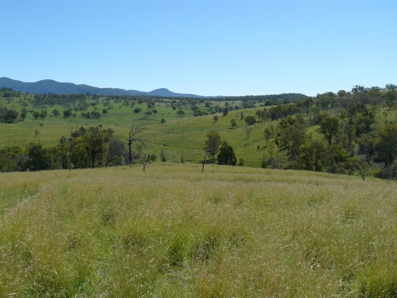 ” Llangollan “, Moree NSW 2400