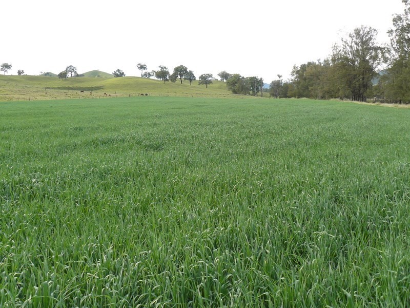 ” Llangollan “, Moree NSW 2400