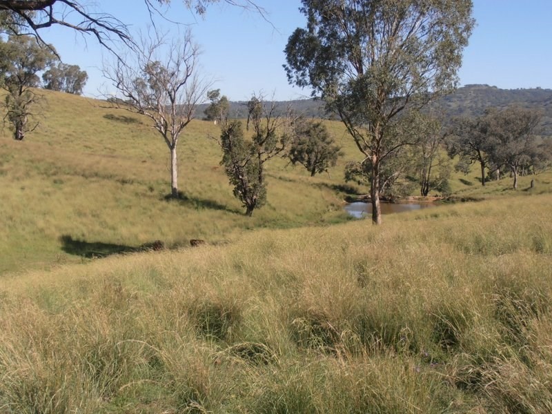 ” Llangollan “, Moree NSW 2400