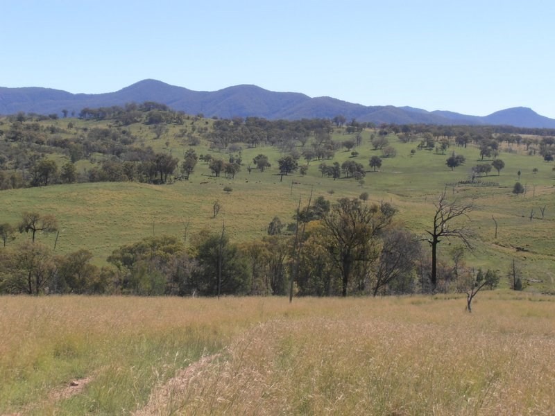” Llangollan “, Moree NSW 2400