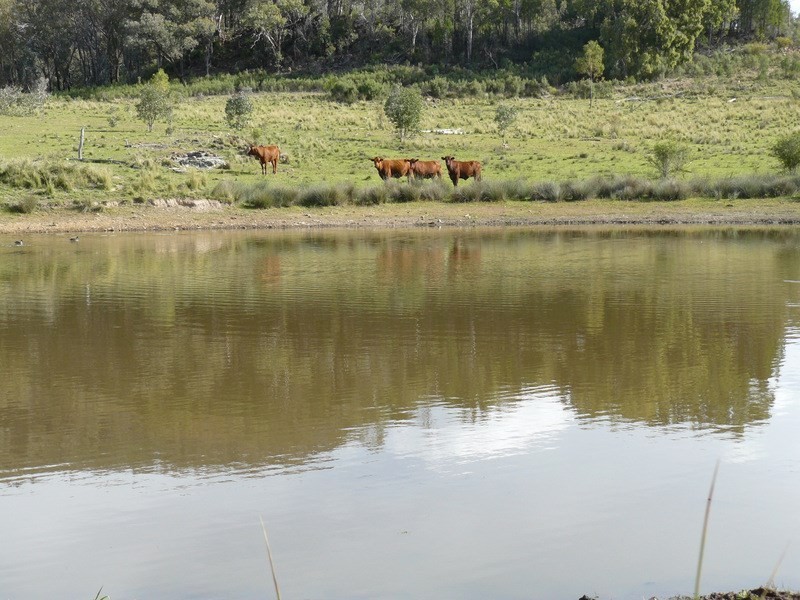 ” Llangollan “, Moree NSW 2400