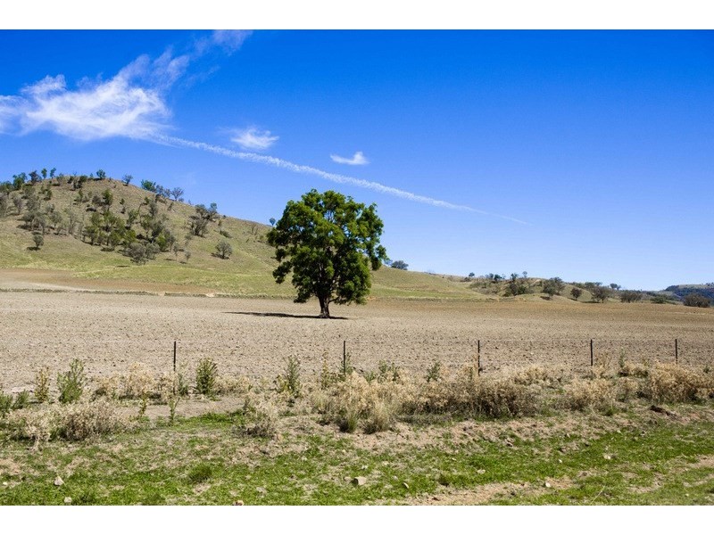 ” Llangollan “, Moree NSW 2400